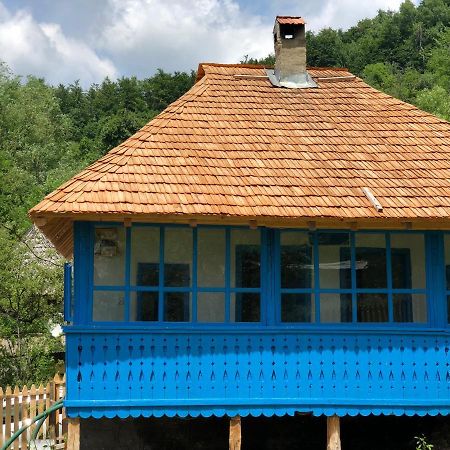 Casa Albastra Villa Băile Olăneşti Eksteriør billede