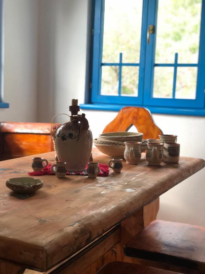 Casa Albastra Villa Băile Olăneşti Eksteriør billede