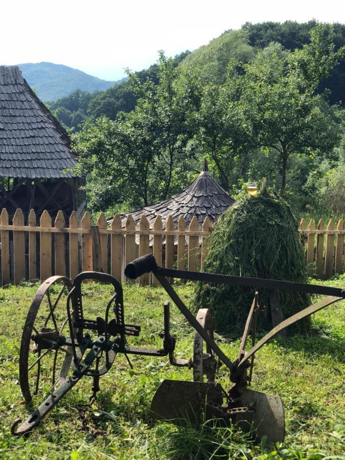 Casa Albastra Villa Băile Olăneşti Eksteriør billede