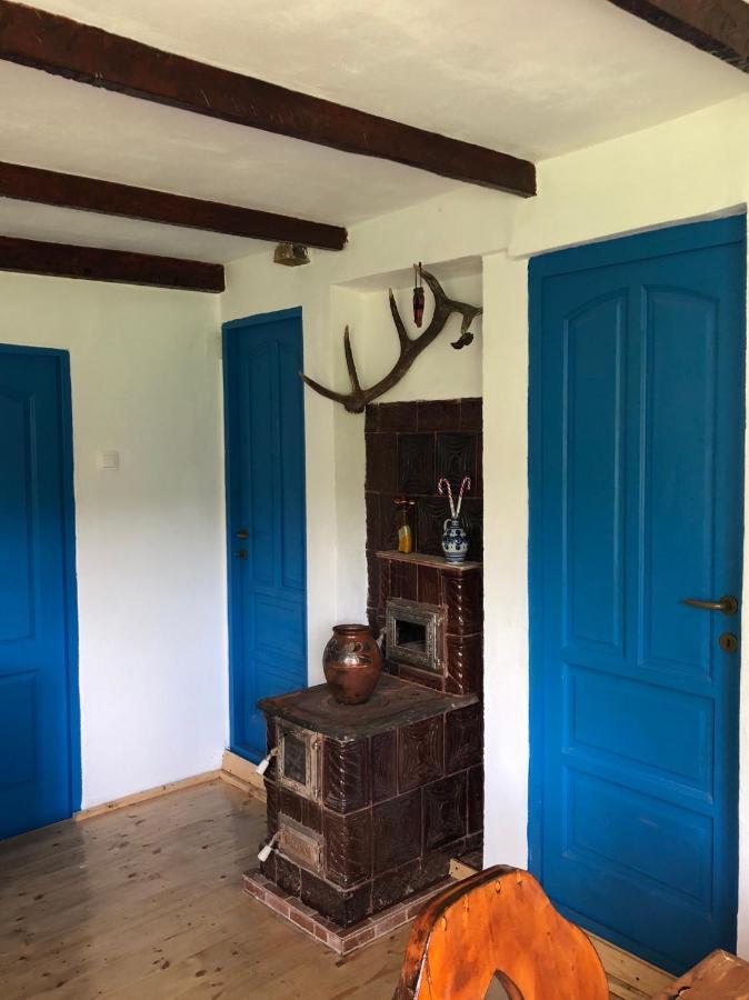Casa Albastra Villa Băile Olăneşti Eksteriør billede