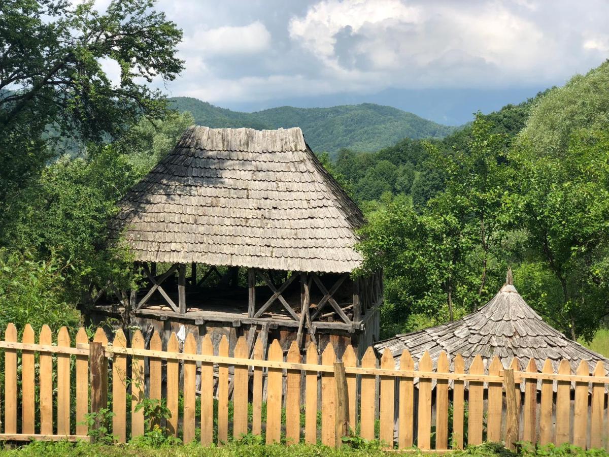 Casa Albastra Villa Băile Olăneşti Eksteriør billede