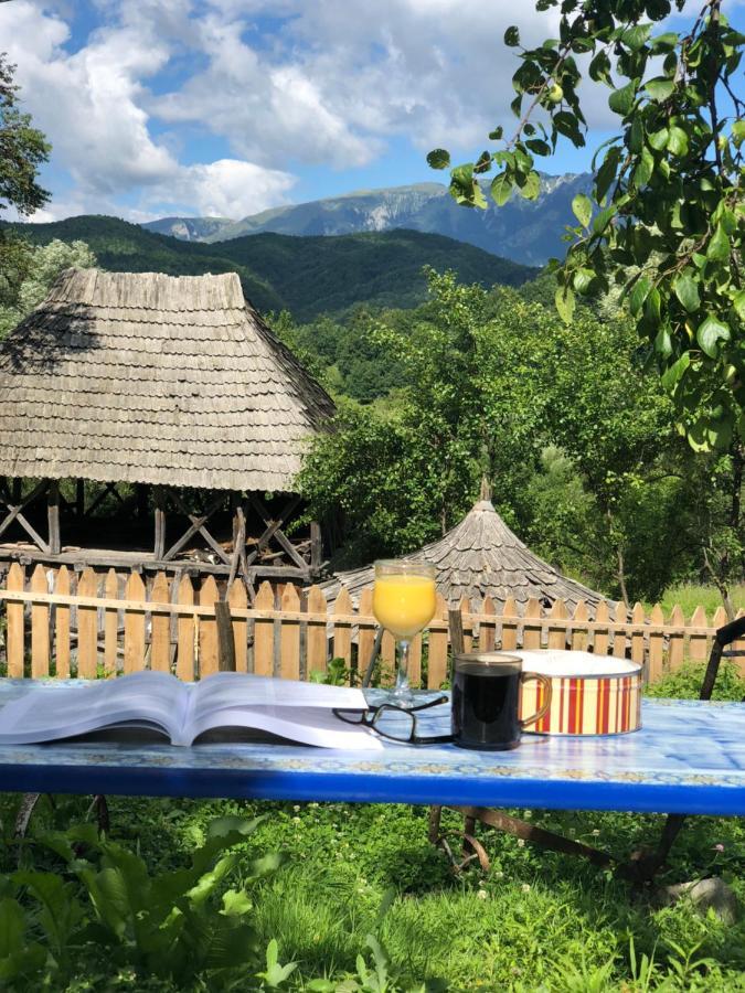 Casa Albastra Villa Băile Olăneşti Eksteriør billede
