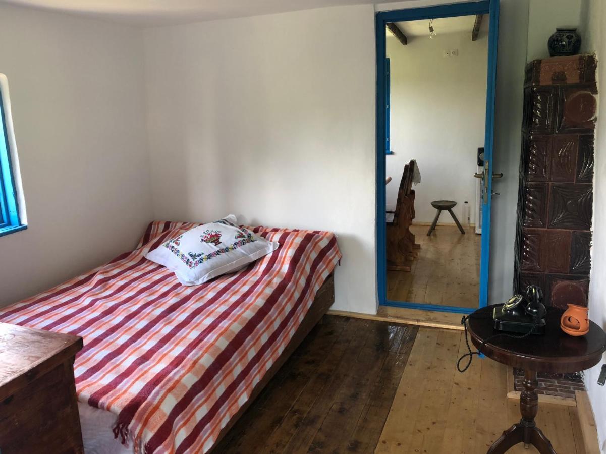 Casa Albastra Villa Băile Olăneşti Eksteriør billede
