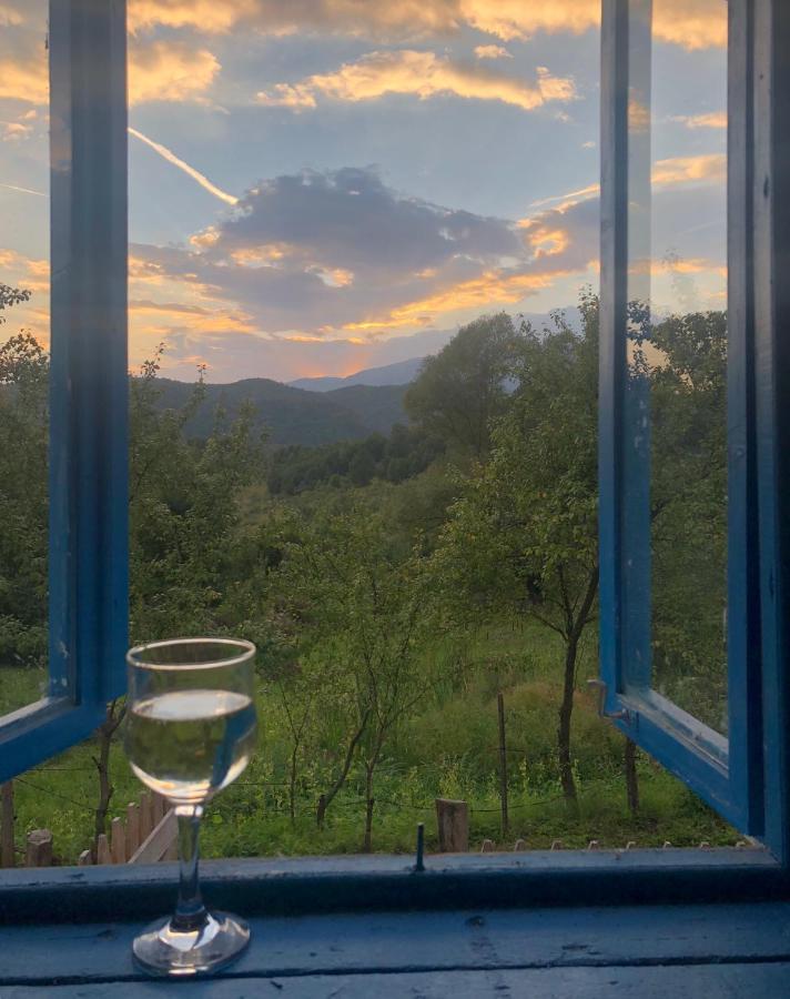 Casa Albastra Villa Băile Olăneşti Eksteriør billede