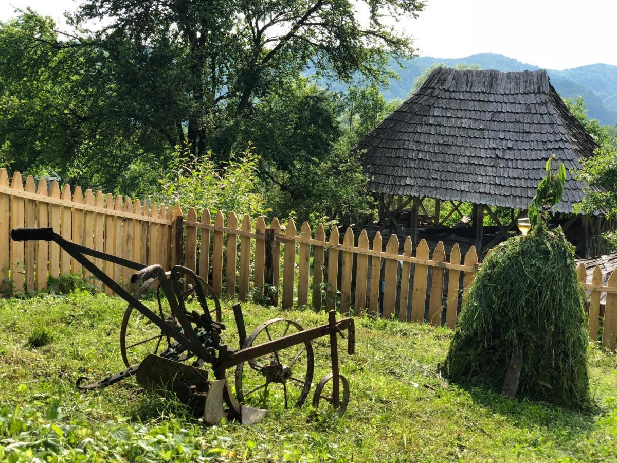 Casa Albastra Villa Băile Olăneşti Eksteriør billede